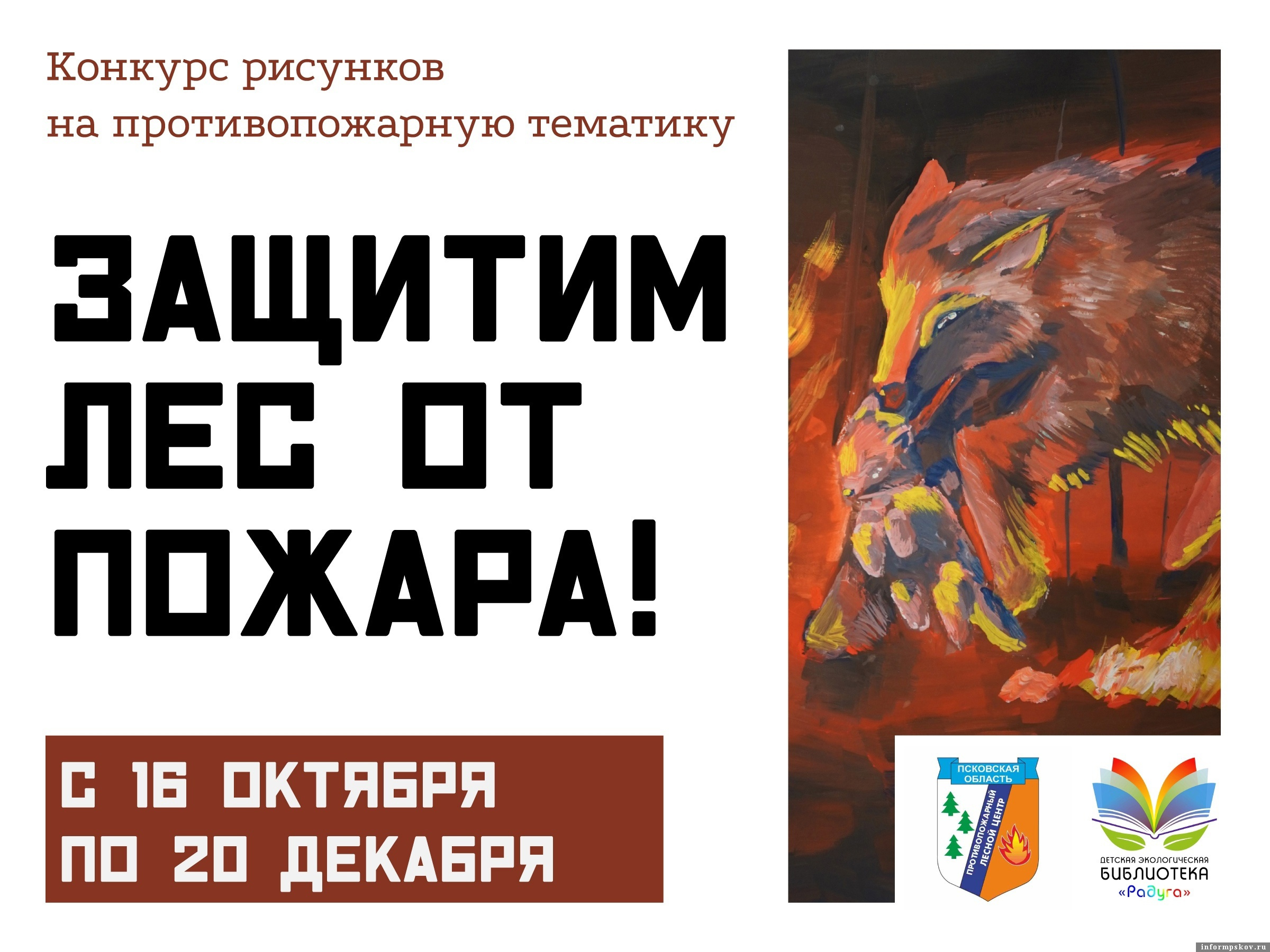 Фото: детская экологическая библиотека «Радуга»