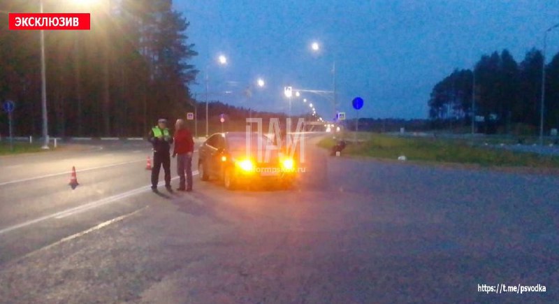 Фото здесь и далее: Telegram-канал «ПАИ. Псковская сводка»