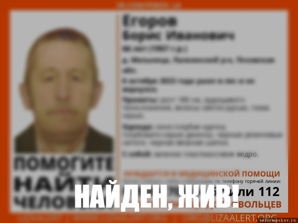 Фото: поисковый отряд «ЛизаАлерт»