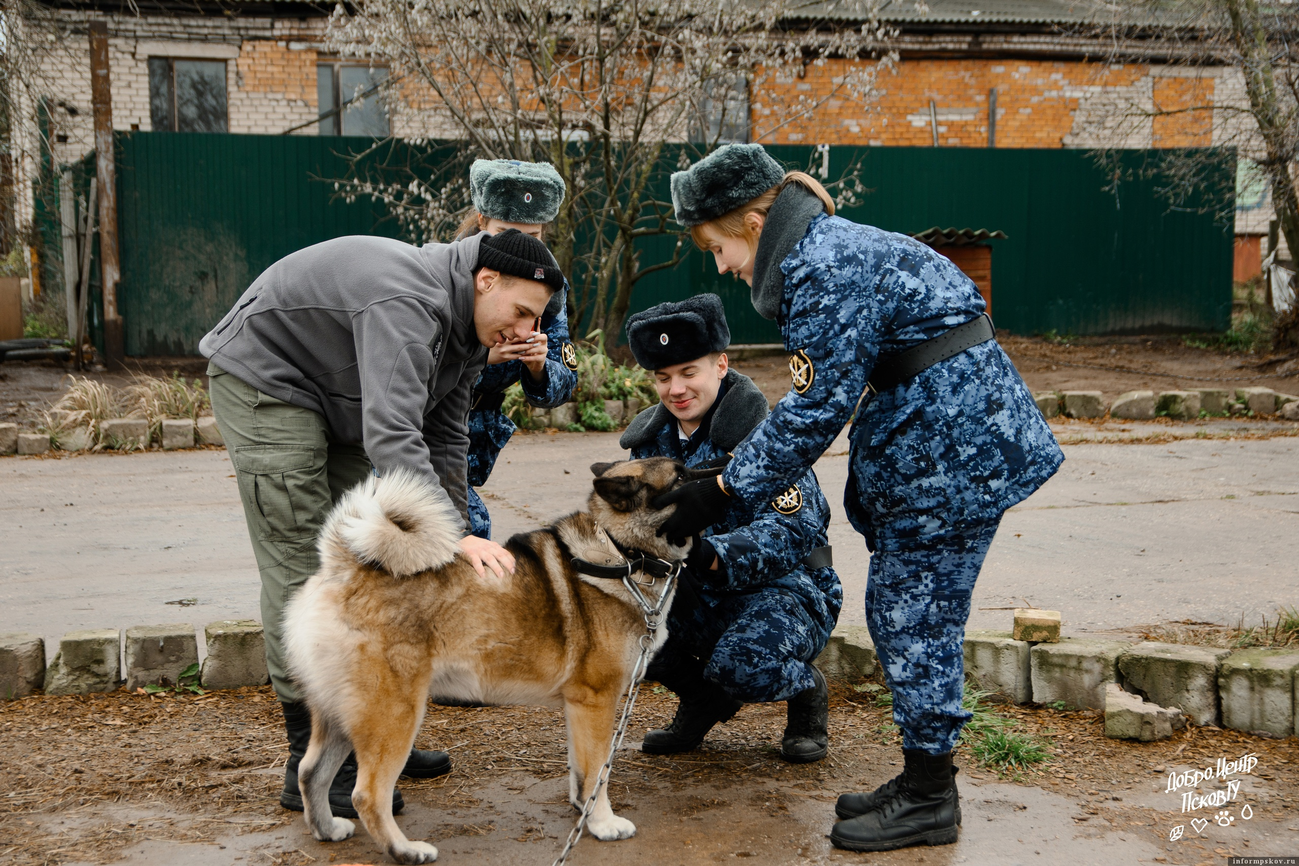 Фото здесь и далее: «Добро. Центр» ПсковГУ