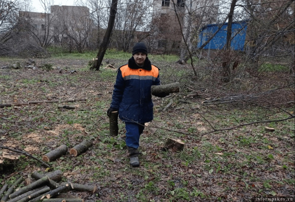 Парковая зона и сад для прогулок появятся около Великолукской межрайонной больницы. Фото здесь и далее: Великолукская межрайонная больница