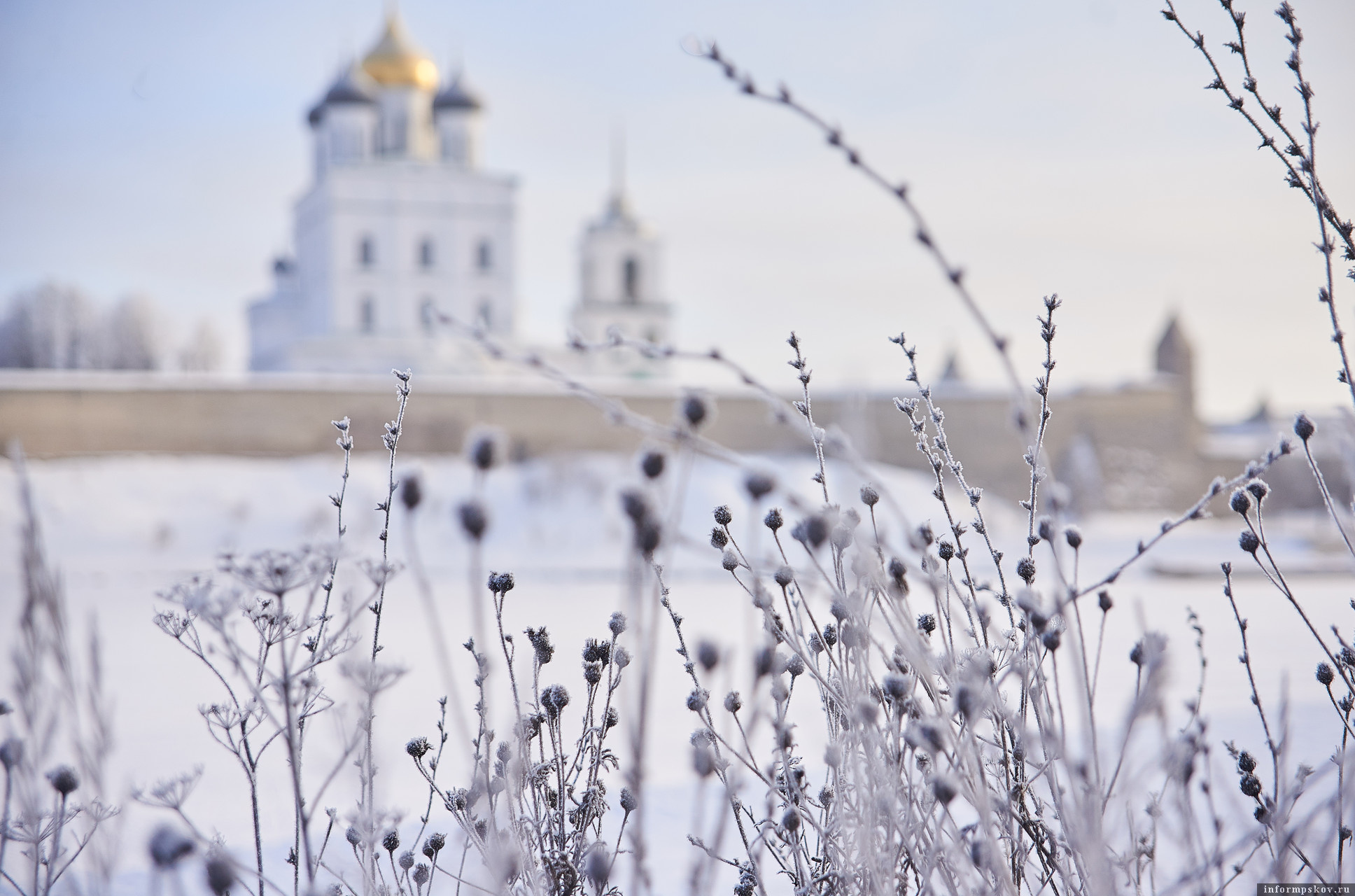 Зима в Псковской области. Фото: ПАИ