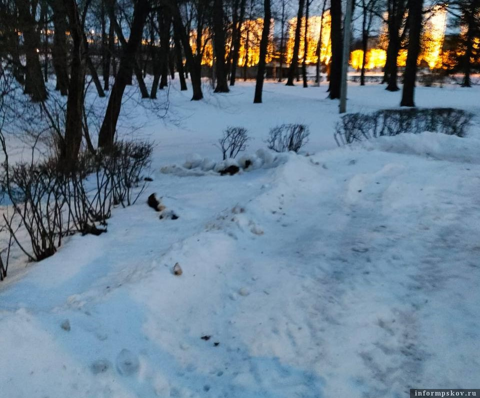 Неизвестные похитили скамейки из парка в Великих Луках. Фото здесь и далее: администрация Великих Лук