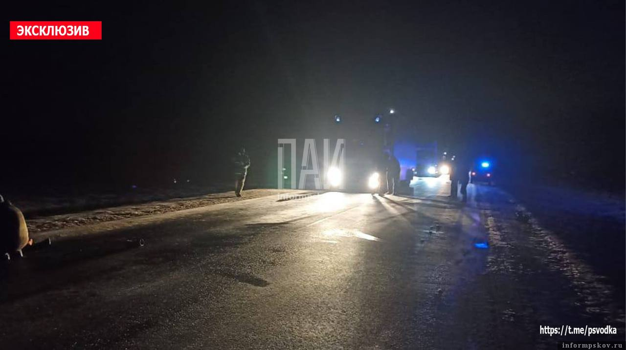 ​Женщина с двумя пакетами водки погибла под колесами фуры в Палкинском районе. Фото здесь и далее: ПАИ