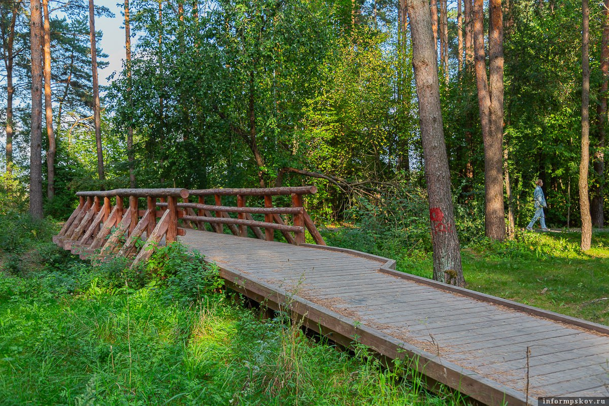 Корытовский лесопарк. Фото: ПАИ