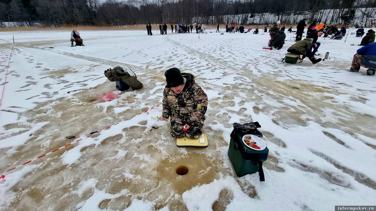 Фото: Псковский облсовпроф