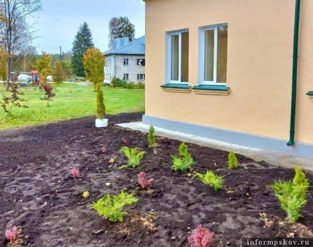 Почти 500 заявок участвуют в региональном конкурсе проектов, разработанных ТОС. ото: Наталья Фёдорова в телеграм-канале
