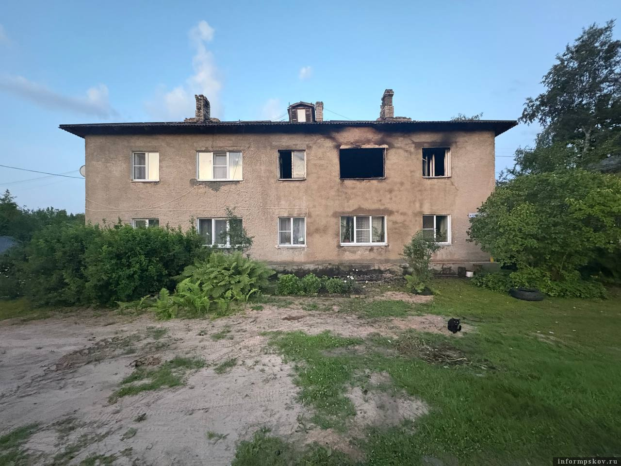 Фото здесь и далее: пресс-служба СУ СК России по Псковской области