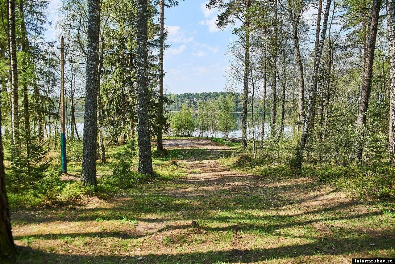 Нацпарк «Себежский». Фото: ПАИ