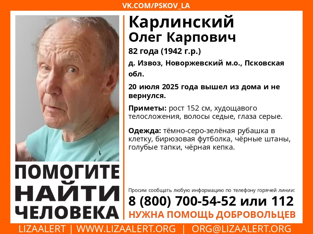 Фото предоставили в поисковом отряде «ЛизаАлерт» Псковской области