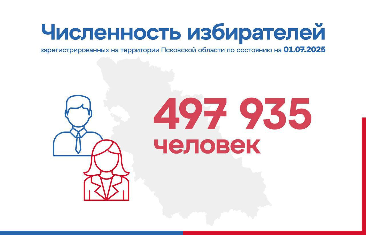 Изображение: пресс-служба избирательной комиссии Псковской области