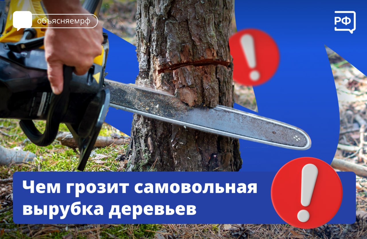 Изображение: «Объясняем.рф»