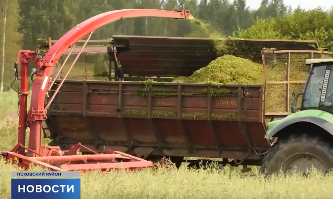 Фото здесь и далее: «Первый Псковский»