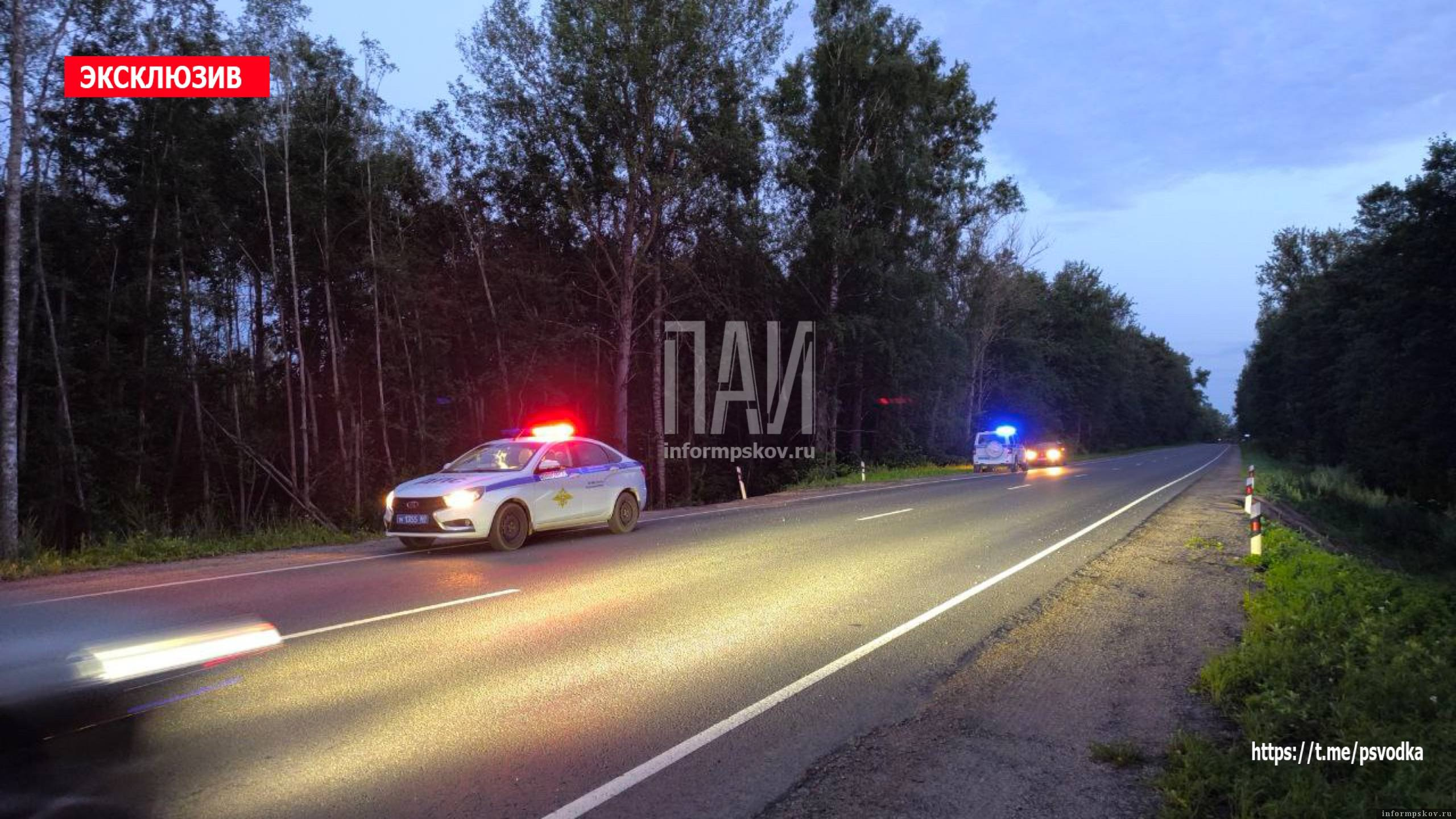 Фото здесь и далее: ПАИ