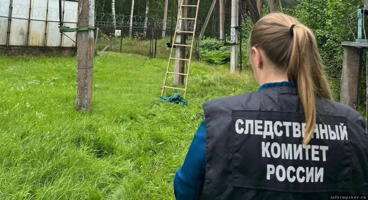 Фото: СУ СК России по Псковской области