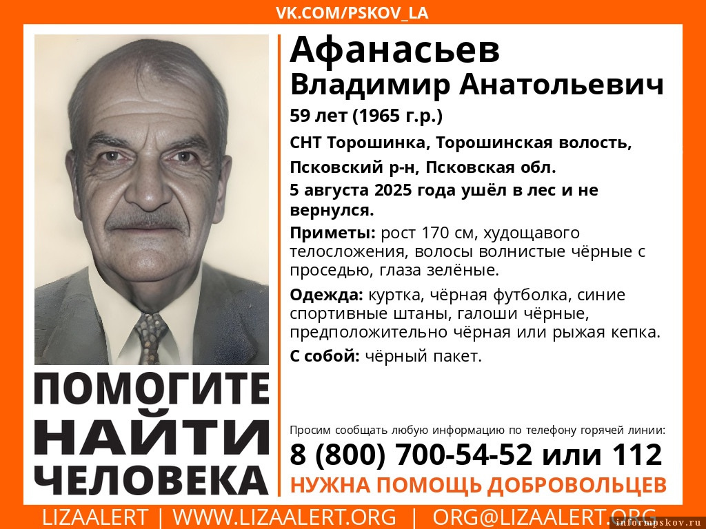 Фото: поисковый отряд «ЛизаАлерт» Псковской области 