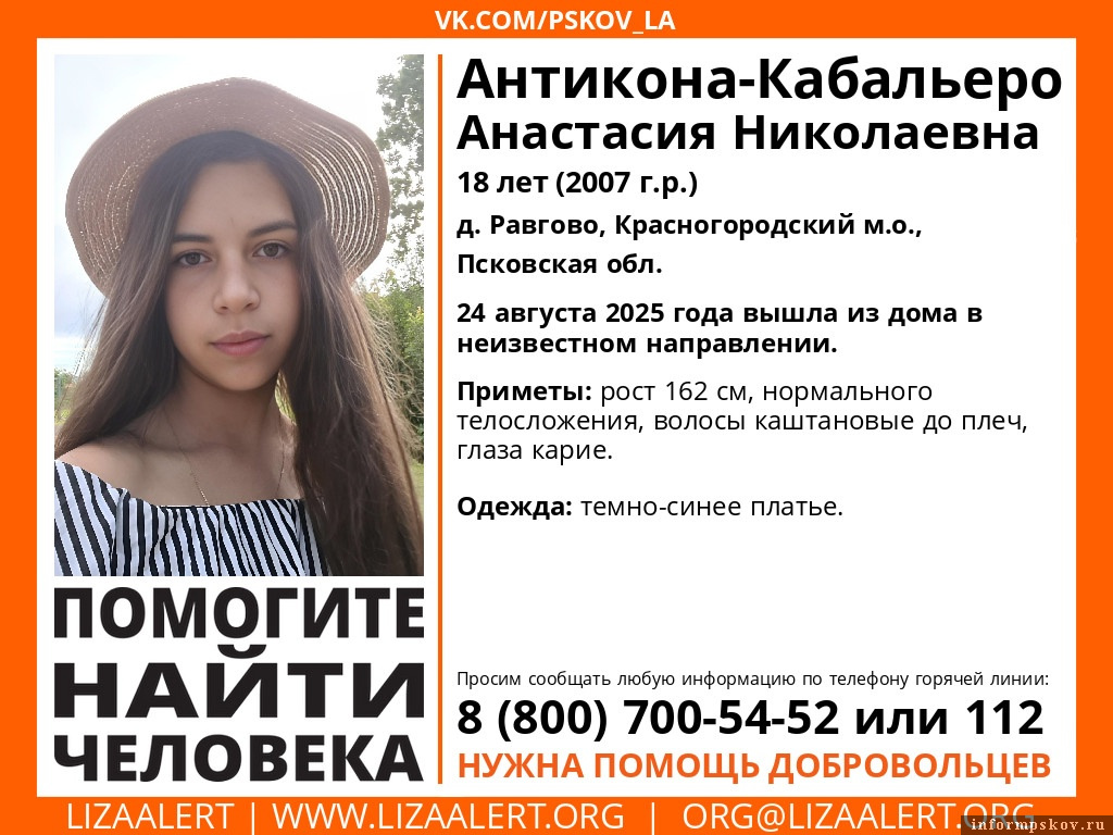 Фото: поисковый отряд «Лиза Алерт» Псковской области 