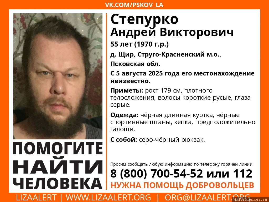  Фото: поисковый отряд «ЛизаАлерт» Псковской области