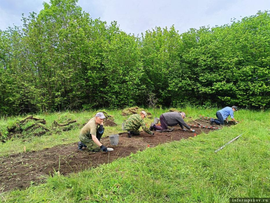 Раскопки на Ворониной горе. Фото: Археологический центр Псковской области