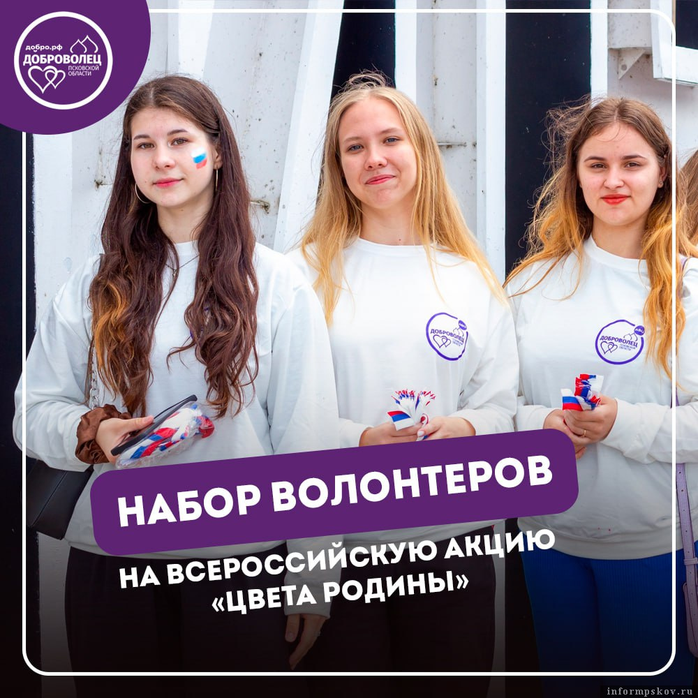 Изображение: Ресурсный центр поддержки добровольчества Псковской области