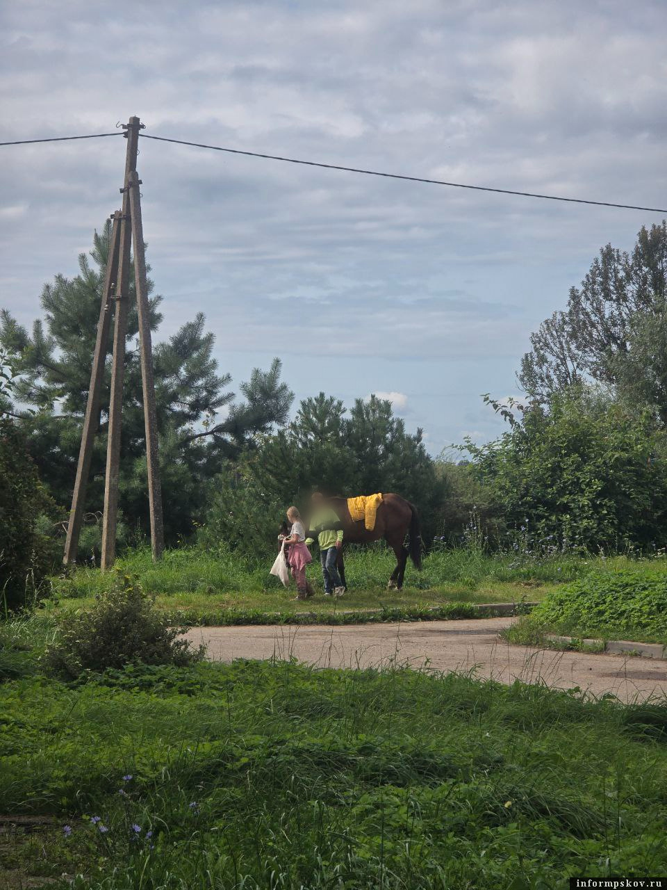 Фото местной жительницы