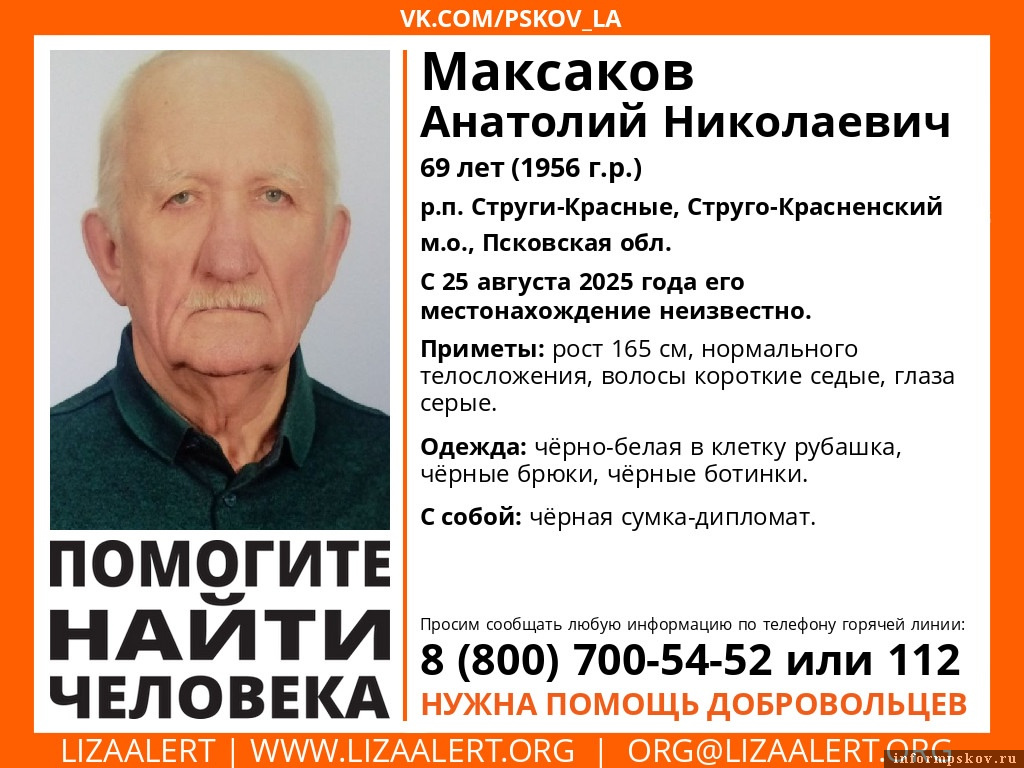 Фото: «ЛизаАлерт. Псковская область»