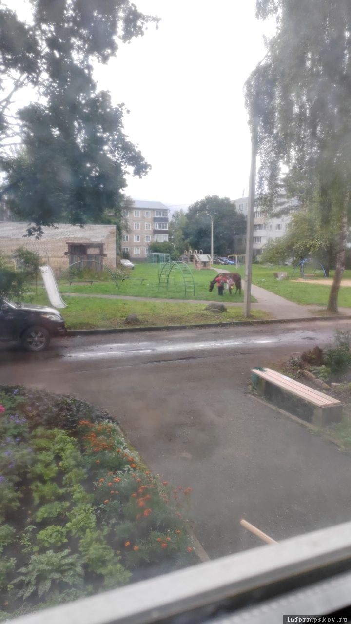 Фото оцевидцев