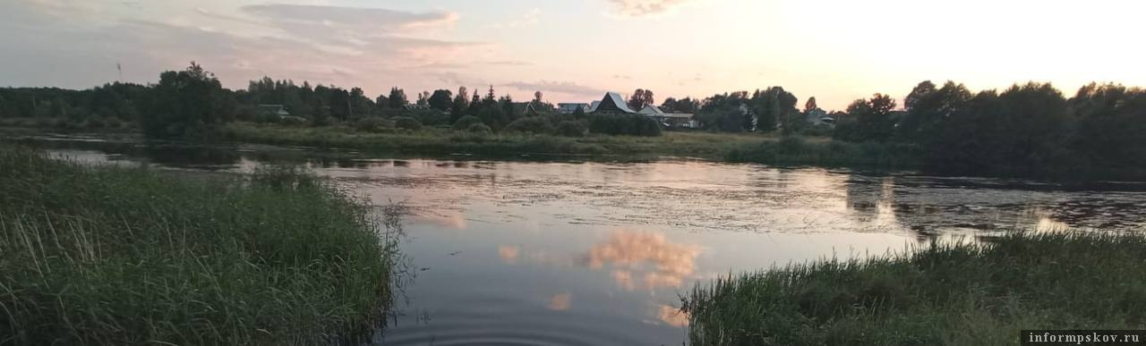 Фото: пресс-служба СУ СК России по Псковской области
