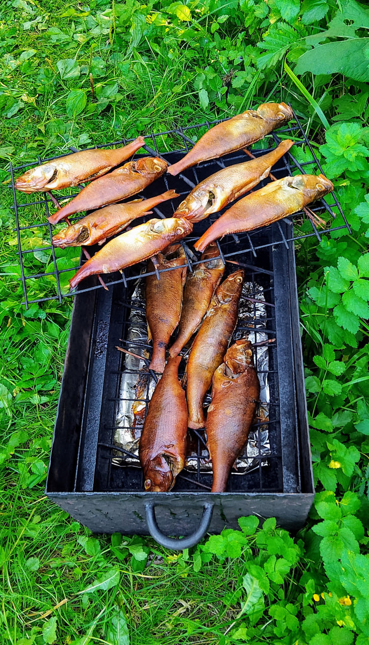 Ох и вкусен же копчёный чудской окунь!