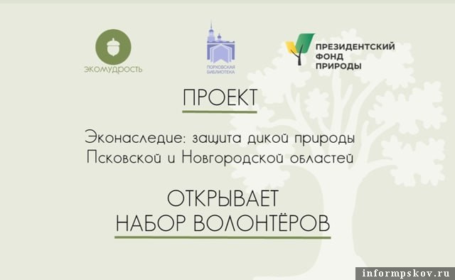 Изображение: организаторы