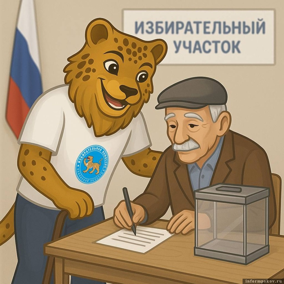 Иллюстрация: пресс-служба избирательной комиссии Псковской области