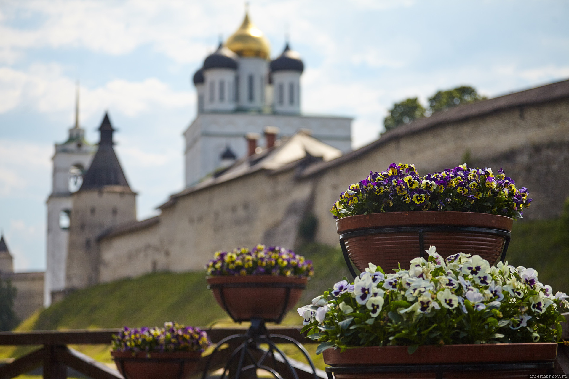 Фото: ПАИ