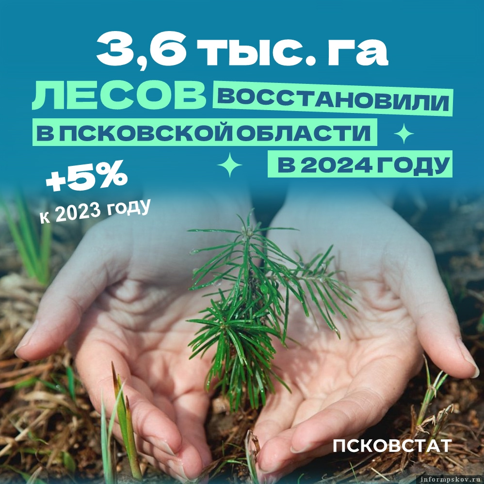 Фото: Псковстат
