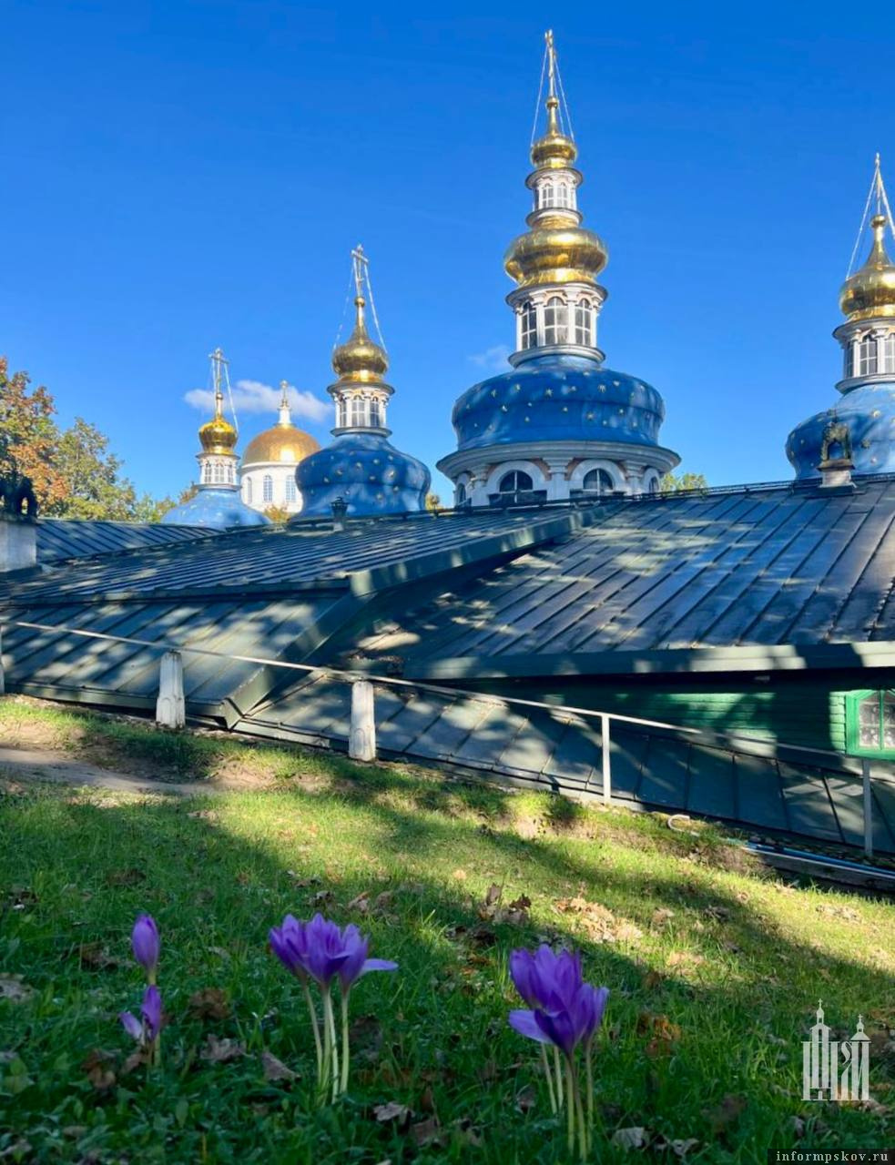 Фото: Елена Свиридова