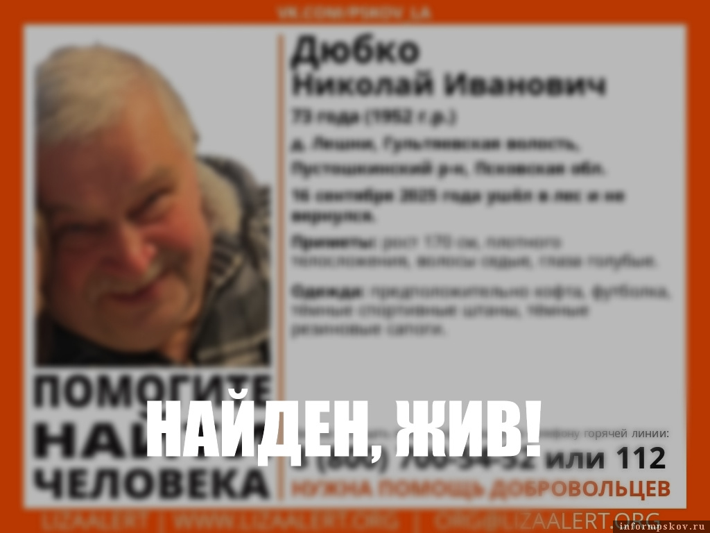 Изображение: поисковый отряд «ЛизаАлерт» Псковской области