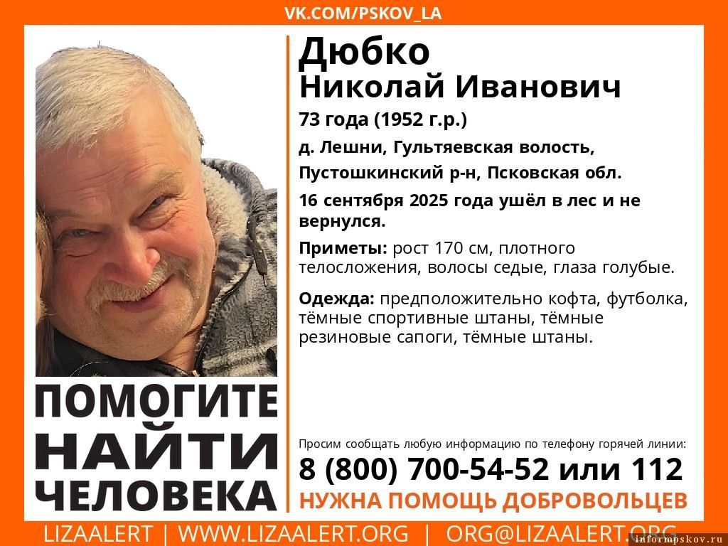 Изображение: поисковый отряд «ЛизаАлерт» Псковской области