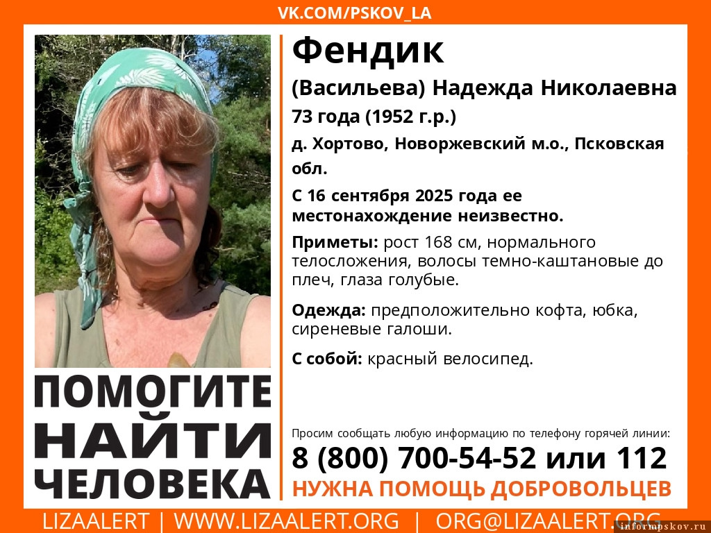 Фото: «ЛизаАлерт» в Псковской области