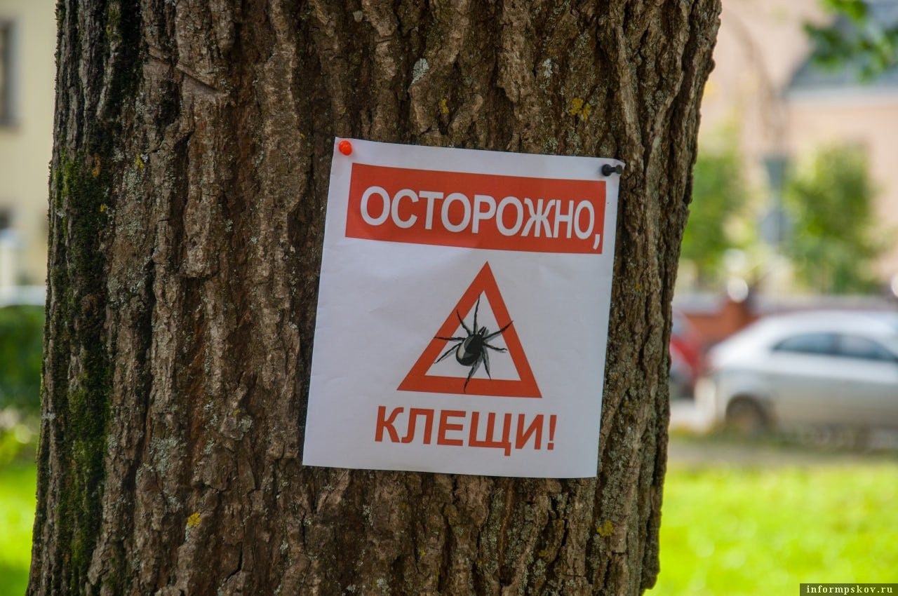 Фото: ПАИ