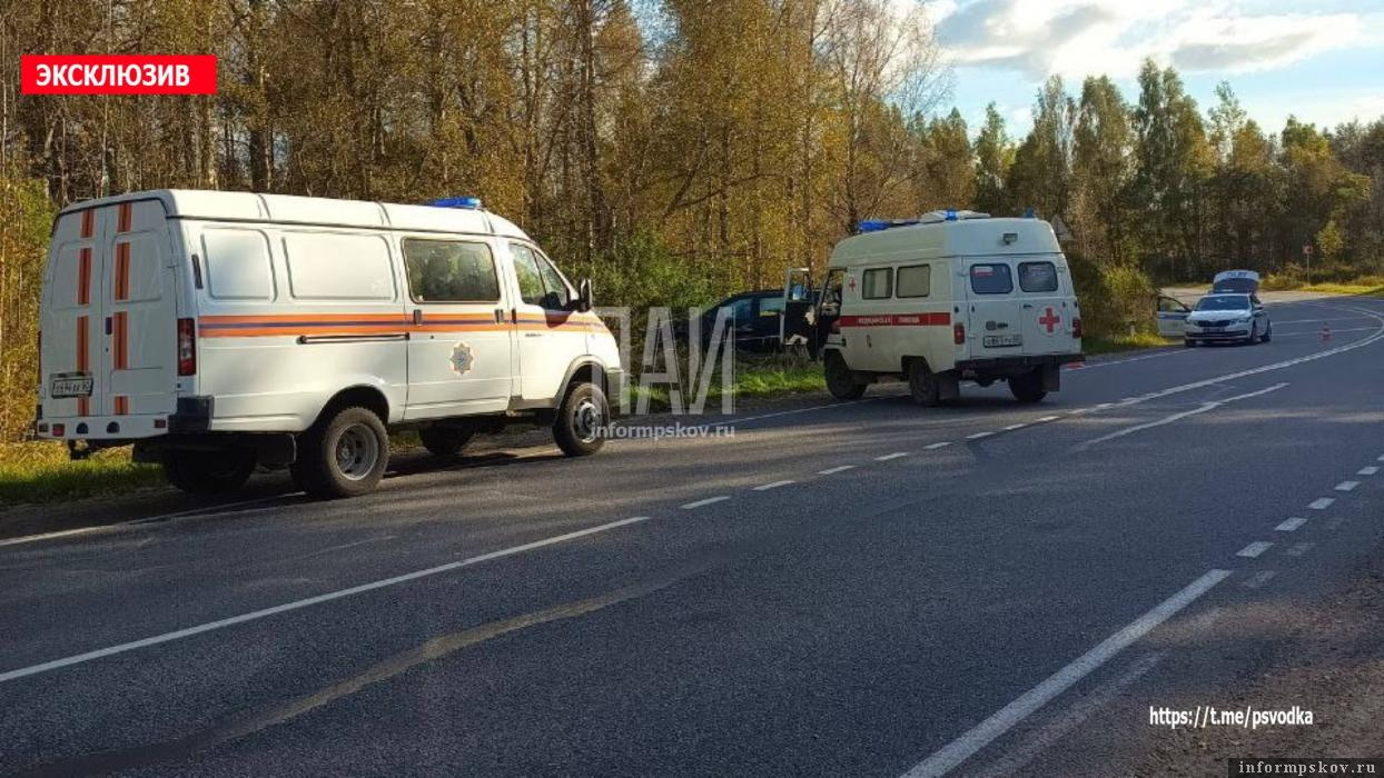 ДТП в деревне Замогилье Гдовского района. Фото: ПАИ