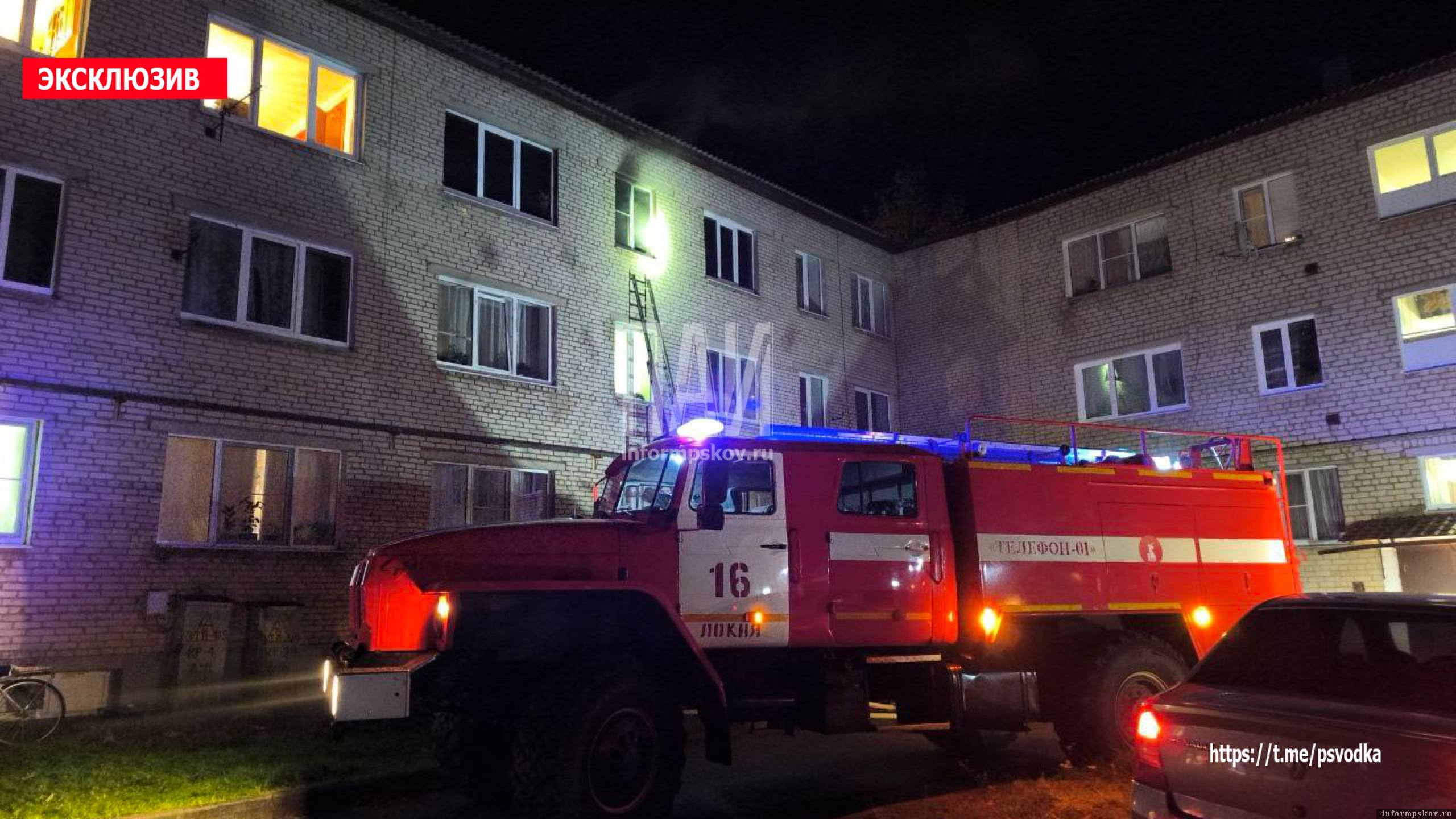 Фото здесь и далее: телеграм-канал «Псковская сводка. ПАИ»