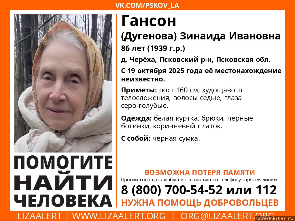 Фото: поисково-спасательный отряд «ЛизаАлерт» Псковской области