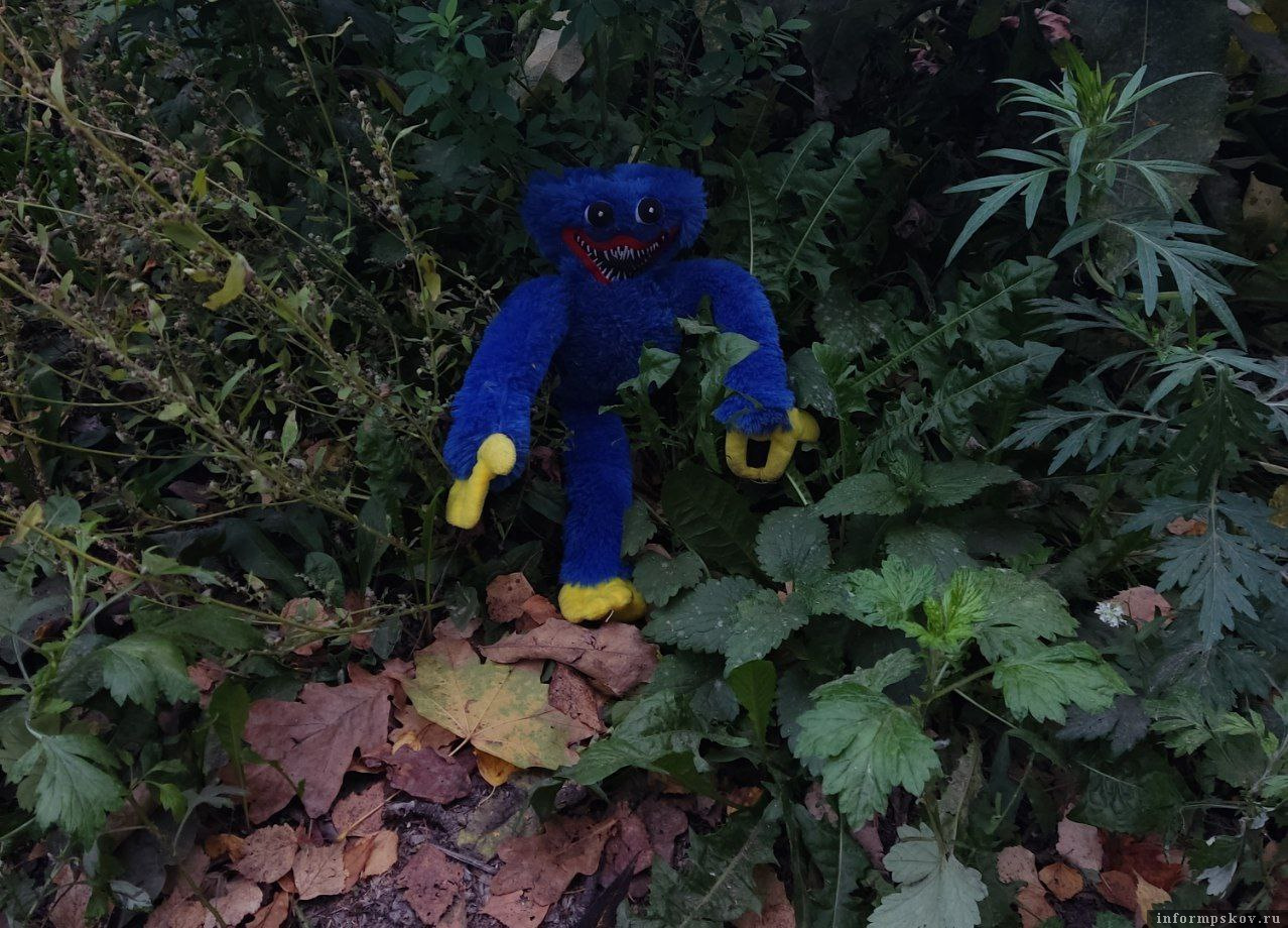 Фото: ПАИ. Изображение носит иллюстративный характер