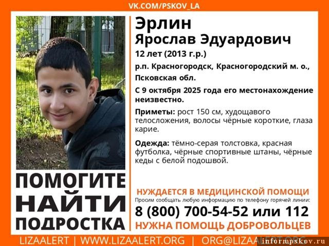 Фото: поисково-спасательный отряд «ЛизаАлерт»