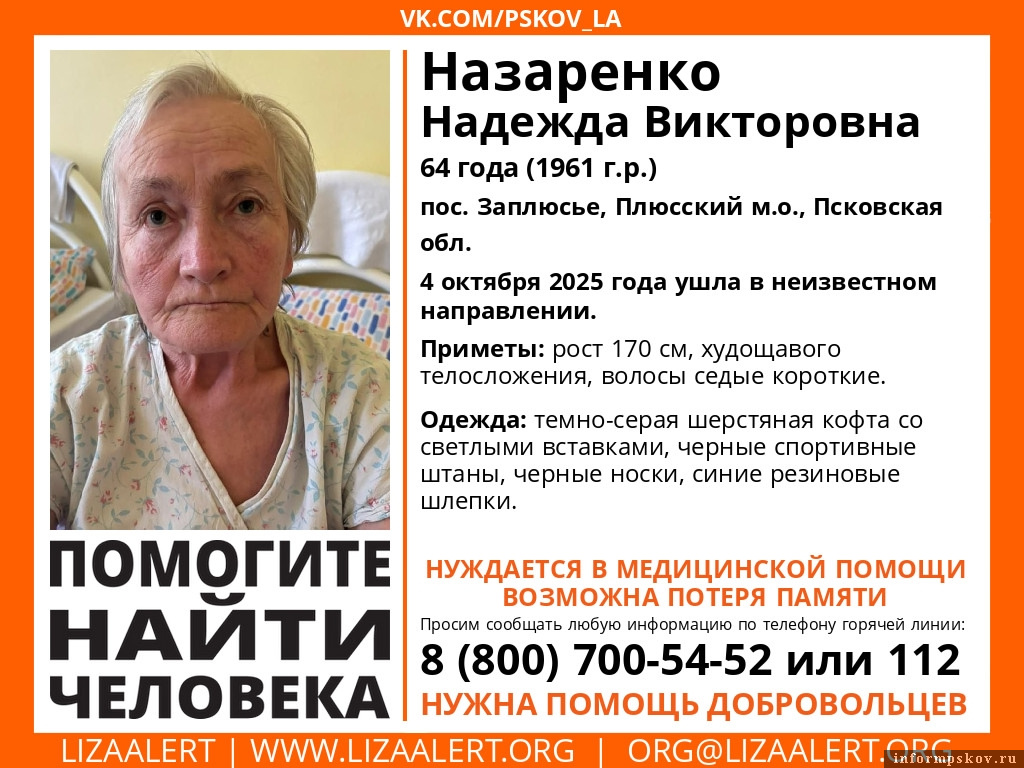 Изображение: «ЛизаАлерт»