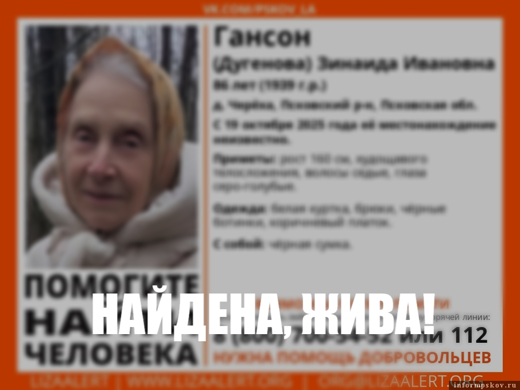 Фото: поисково-спасательный отряд «ЛизаАлерт» Псковской области