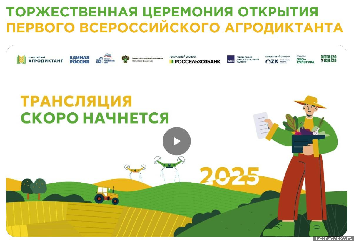 Иллюстрация: организаторы