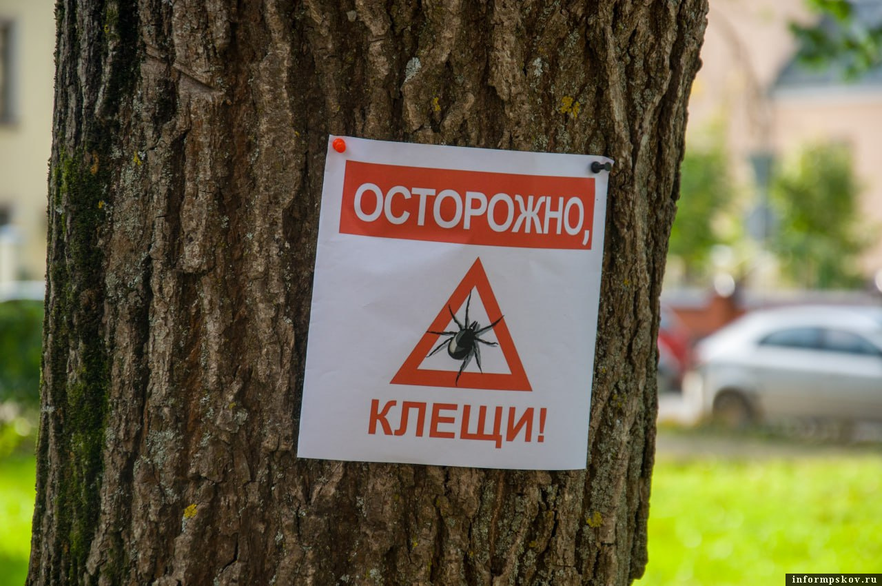 Фото: ПАИ