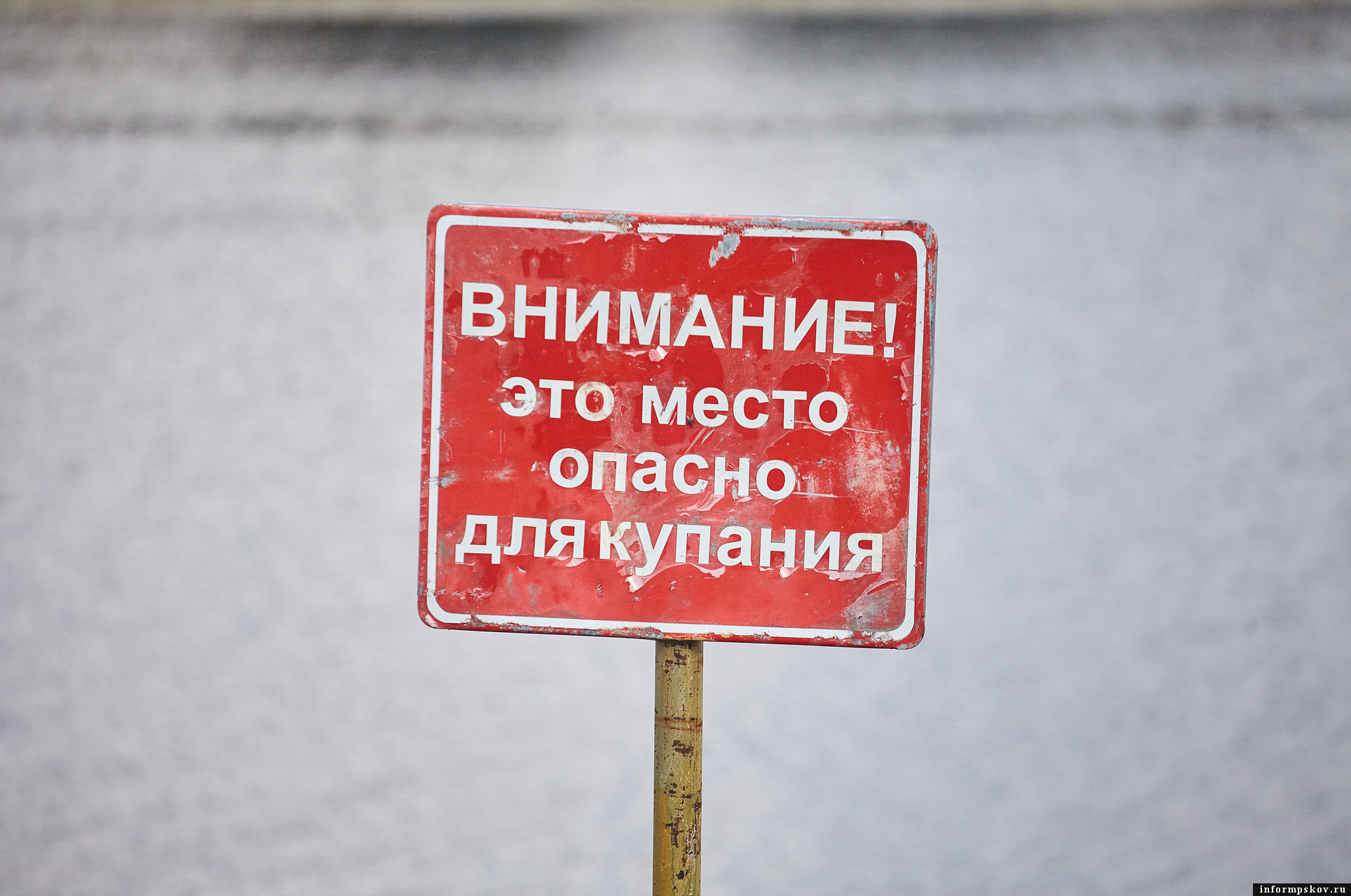 Фото: ПАИ