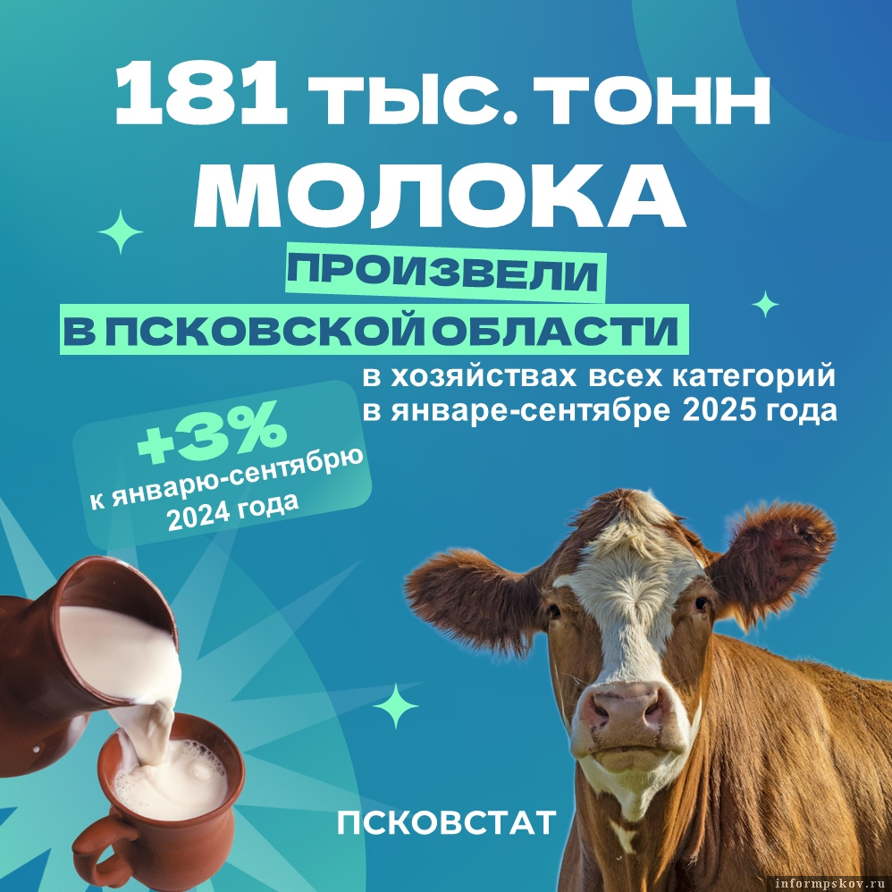Изображение: Псковстат