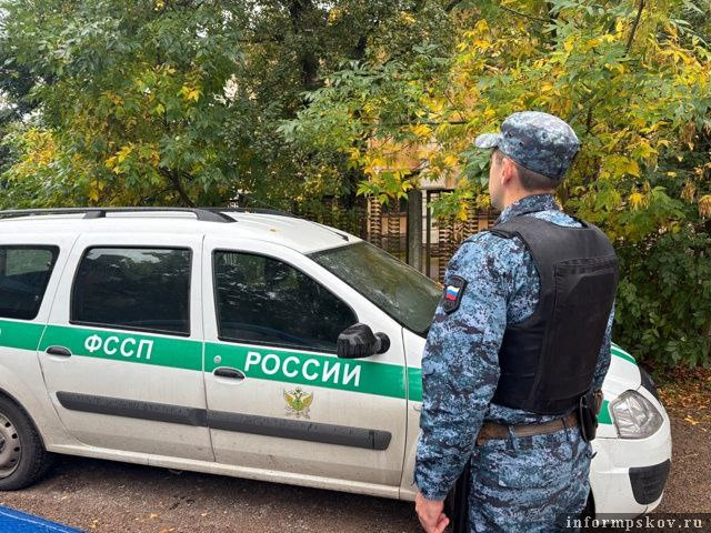 Фото: пресс-служба УФССП России по Псковской области